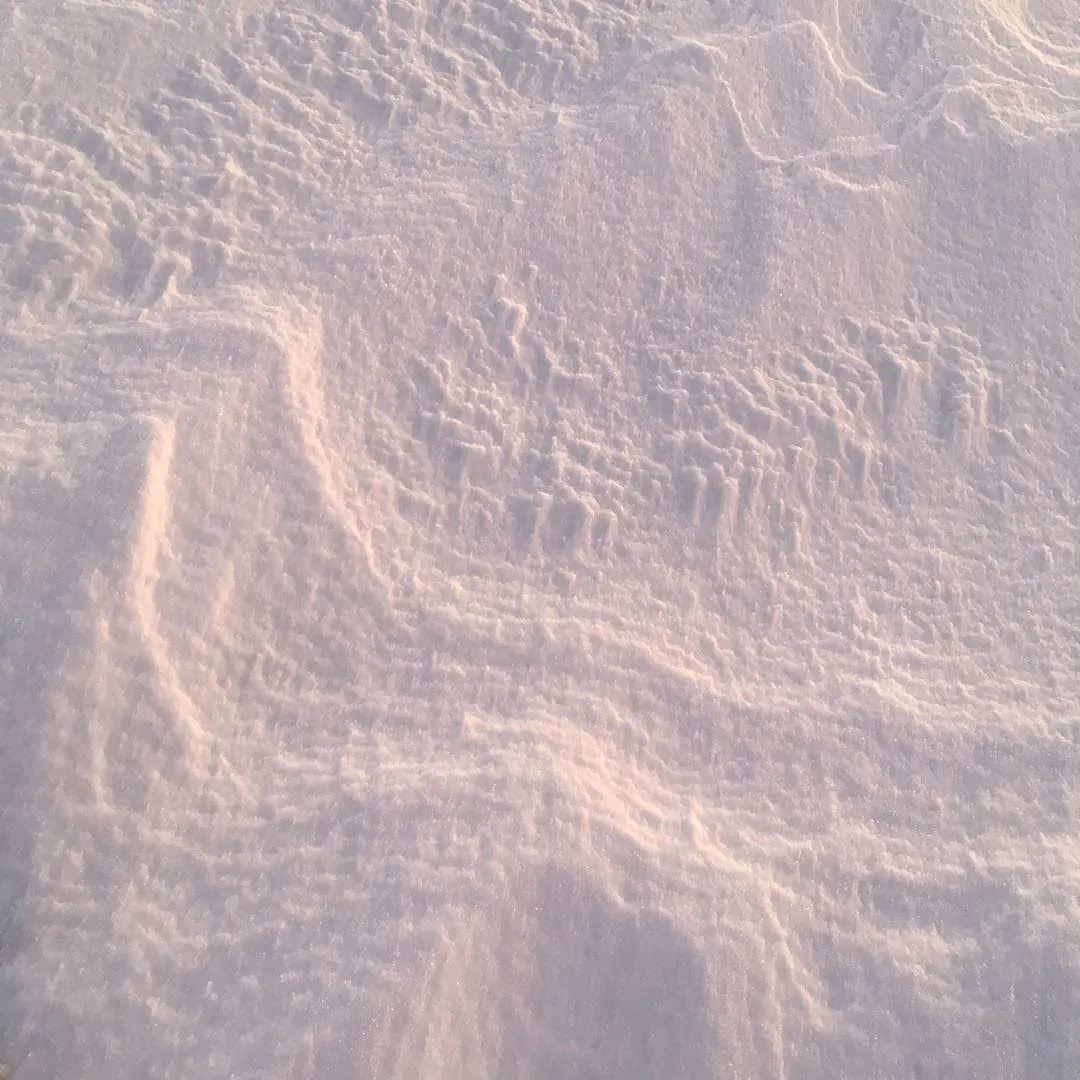 Wind-carved ripples in deep snow, in Tromsø