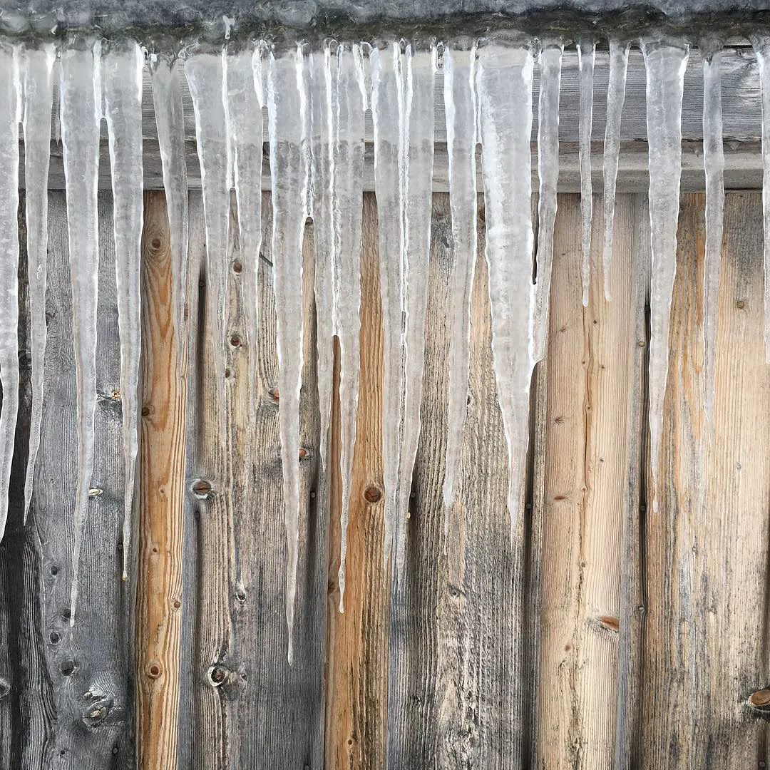 Long icicles hanging over a weathered wooden wall, in Karlsøya