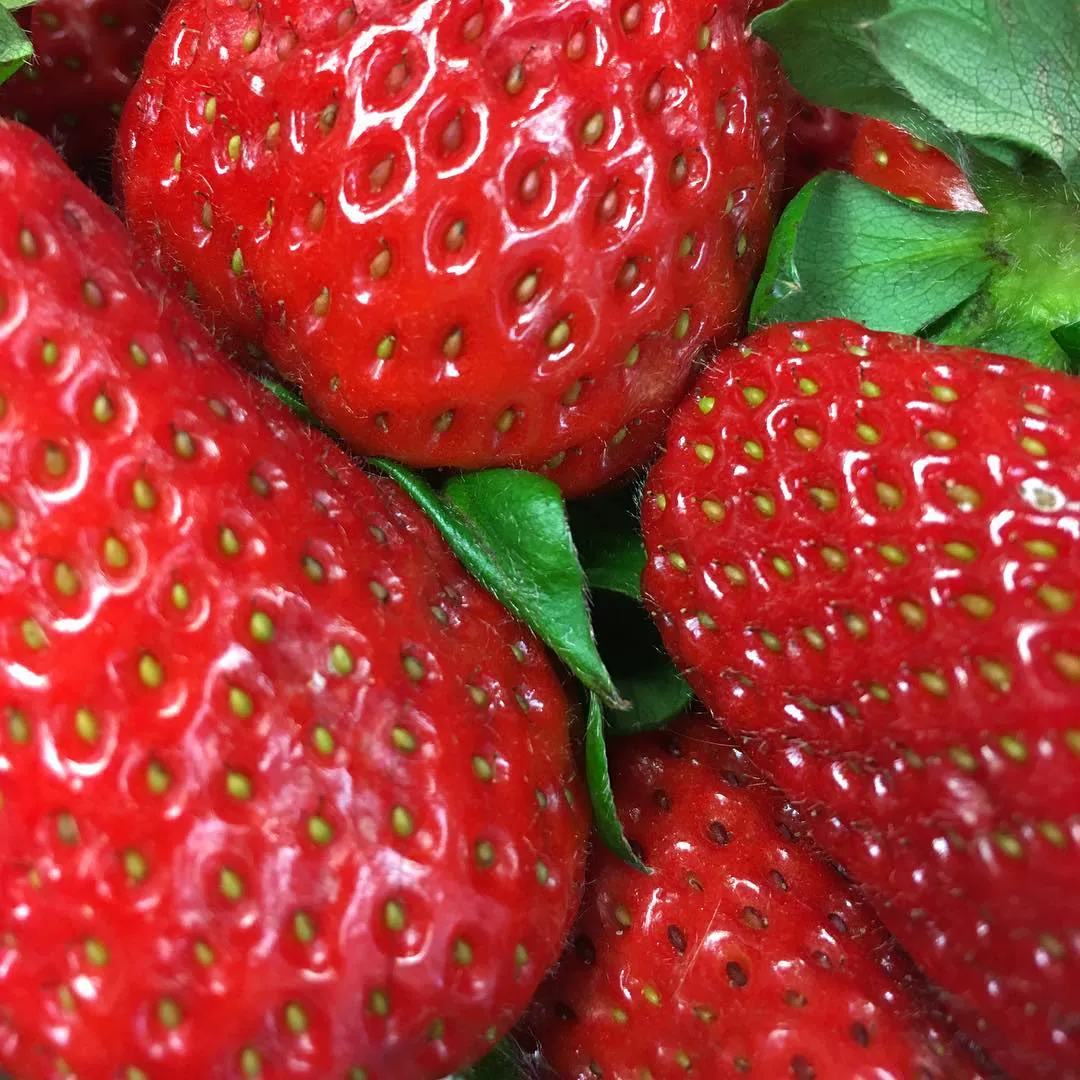 Close-up of ripe strawberries