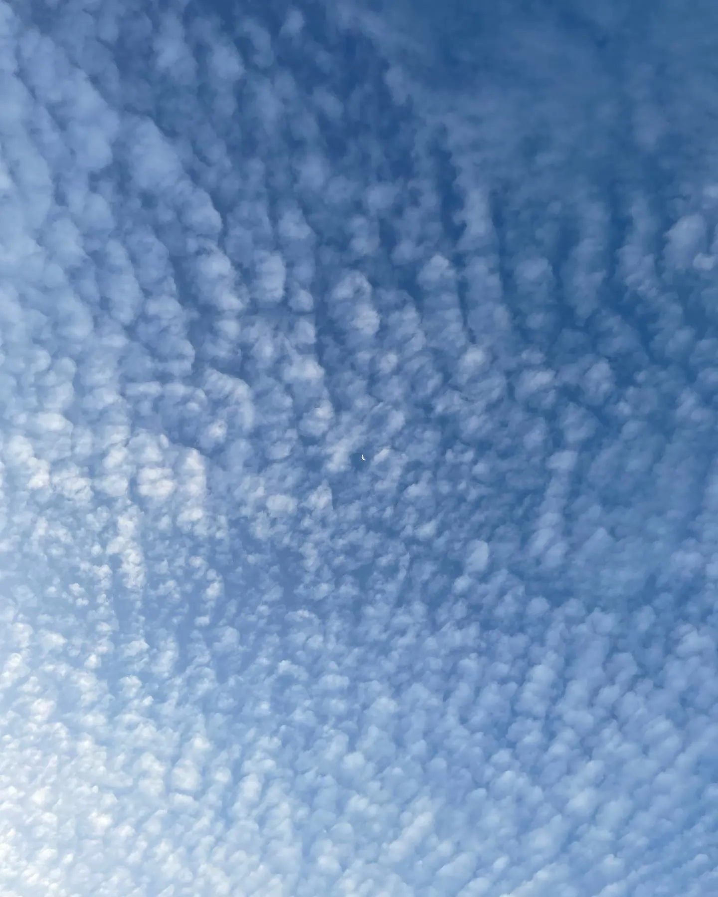 A blue sky full of small rippled clouds