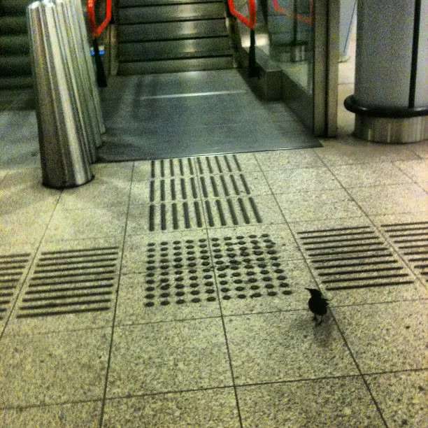 A small black-and-white bird on the tiled floor of a train station, by the tactile paving