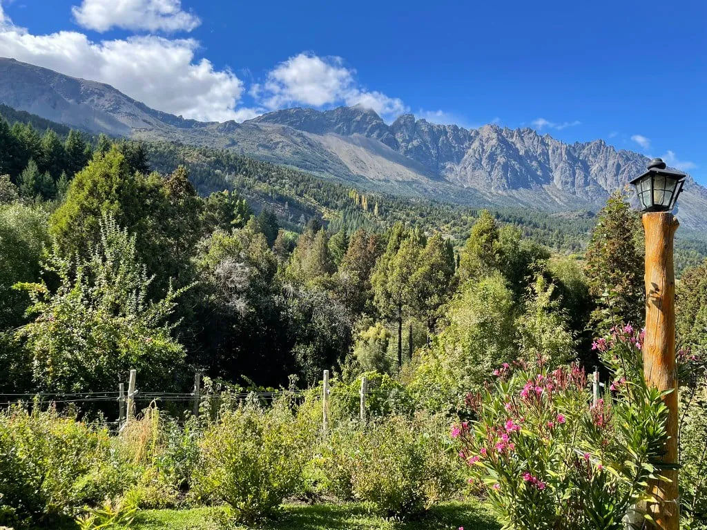 Mountain in Patagonia, summer, green and flowers